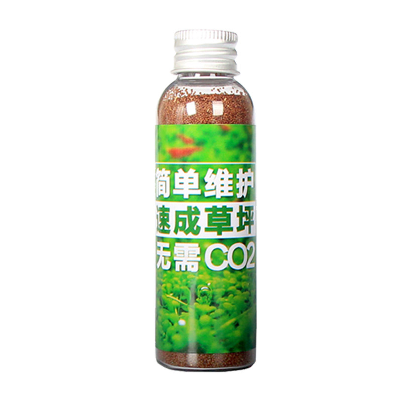 鱼缸水草种子牛毛草前景造景装饰