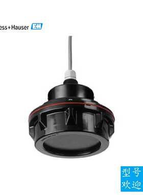 议价EH液位计探头FDU93-RG2A恩德斯豪斯液位测量超声波传感器物位