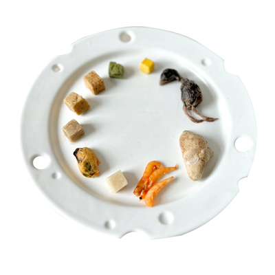 猫咪狗狗冻干零食纯肉整切0添加