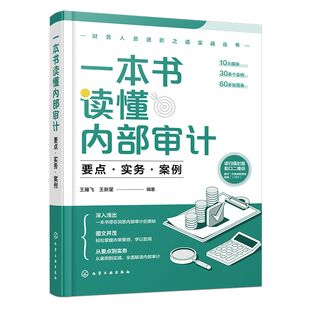 一本书读懂内部审计 要点实务案例 财务人员进阶之道实战丛书企业公司财务管理财务总监内部审计业务人员财务会计出纳业务参考书籍