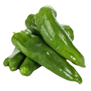 特大牛角椒种子大果羊角青椒秧尖椒辣椒种籽四季苗秧苗蔬菜孑高产