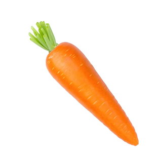 萝卜种籽大全水果凤梨四季白青萝卜种孑农家蔬菜种子大红袍胡萝卜