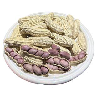 龙岩湿烤花生2025新货福建特产紫衣带壳水煮下酒菜炒货官方旗舰店