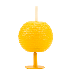 果蝇诱捕器果蝇苍蝇飞虫克星强力效粘虫球室内去除小黑飞灭杀神器