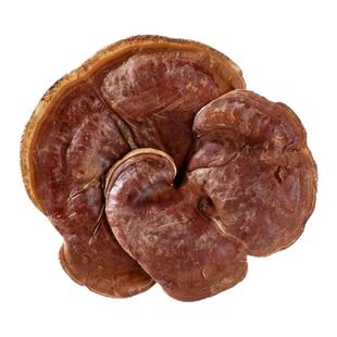 阿四出品 | 福建深山老林产 野生赤灵芝干货 250g 限量发售别嫌丑