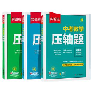 2026春雨实验班初中专项数学压轴题语文阅读五合一英语完形填空与阅读理解七八九年级中考版初中通用必备古诗文课外阅读教辅资料书
