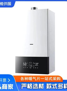 燃气壁挂炉 家用采暖炉 取暖生活用水两用 厂家直销
