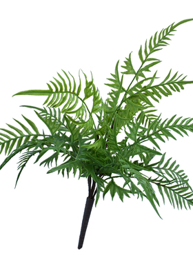 仿真把束蕨类草排婚庆墙配插花
