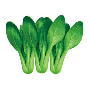 水果玉米牛奶油爆浆多彩紫黑白花甜糯早熟毛豆向日葵种子孑籽