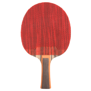 CnsTT凯斯汀削球乒乓球拍专业长胶底板颗粒胶皮兵乓diy手工粘拍