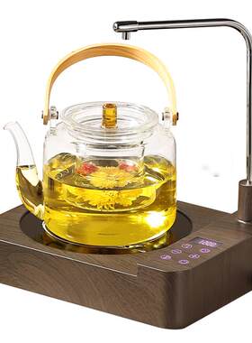 新款全自动上水玻璃煮茶器