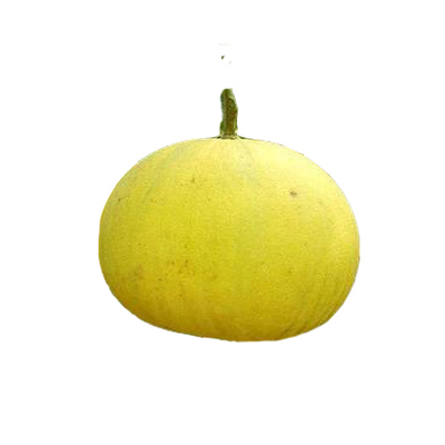 重庆梁平柚子农家新鲜水果白心柚