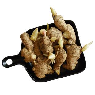 生姜种子姜种带芽山东大姜种籽种姜种植苗5斤包邮子姜芽非小黄姜