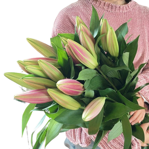 鲜花百合鲜花云南基地直发向日葵花束玫瑰鲜切插花