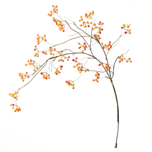 高级感仿真蔷薇果室内装饰绿植马桑果山归来浆果发财果浆果假花