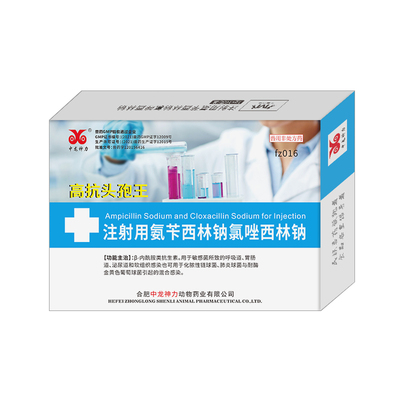 中龙神力氨苄西林钠猪牛羊消炎