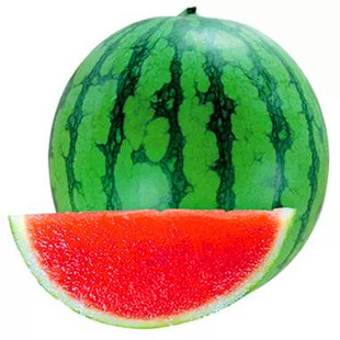 8424冰糖麒麟美都无籽巨型特大懒汉黑美人高产早熟盆栽西瓜种子