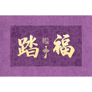 九紫离火运风水入户门地垫进门门外紫色丝圈防滑脚垫地毯紫气东来