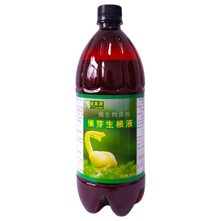 催芽生根液泡种子重楼黄精大姜催芽剂白芨育苗营养液多根灵益富源