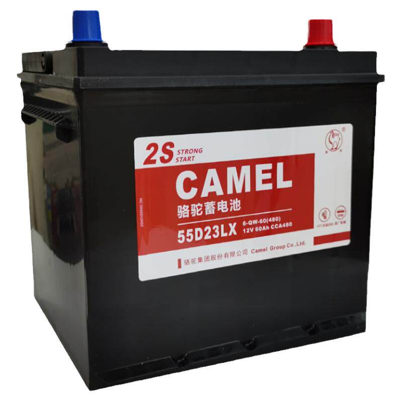 骆驼2S电瓶12V60AH适用汽车电瓶/蓄电池