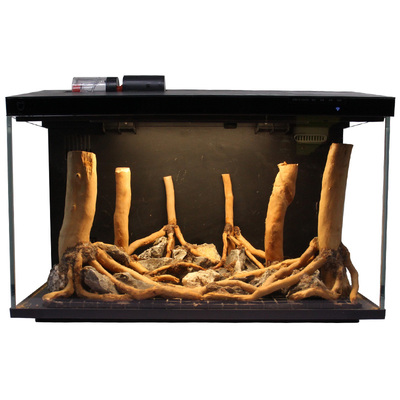 鱼缸造景沉木小米缸森林骨架全套