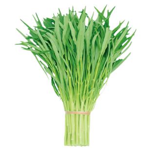 竹叶空心菜种子三叉空心菜苗四季菜苗大叶柳叶蔬菜青菜种籽苗高产