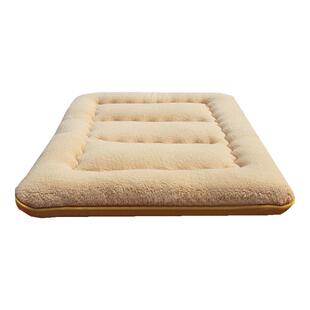 冬天保暖神器加厚羊羔绒地垫日式家用全棉榻榻米床垫羊毛地铺睡垫