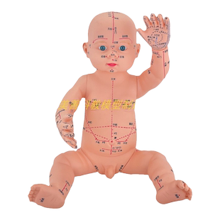 小儿推拿模型培训娃娃带穴位仿真按摩婴儿针灸中医人体经络教学用