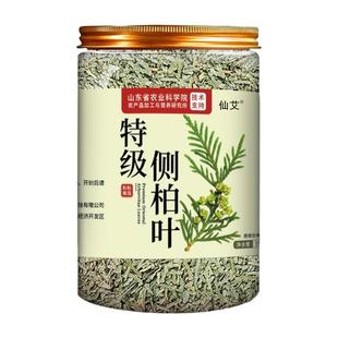 侧柏叶干新鲜中药材生发养发专用纯植物草本育发洗头发包防泡酒脱