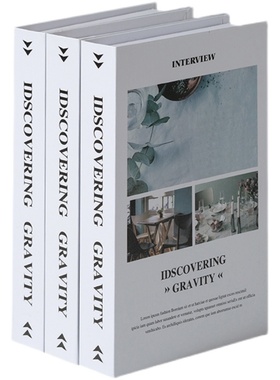 简约风假书样板间电视柜软装摆件