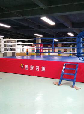 拳击台擂台散打简易标准小型八角笼武术训练围栏综合格斗搏击台子