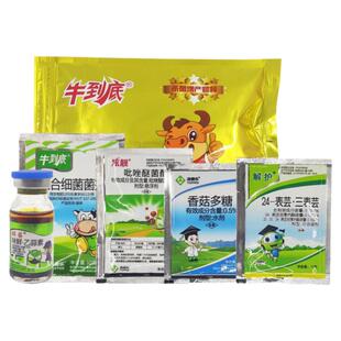 水稻专用防病增产套餐 农药稻瘟病纹枯病稻曲病稻飞虱杀虫杀菌