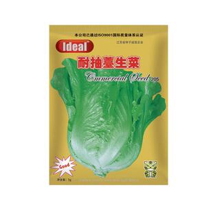 ideal理想农业高端生菜种子四季奶油可生吃耐抽薹生菜种籽蔬菜孑