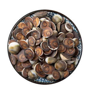 太极石中药材官方旗舰店甲香水云母海月催生子海螺盖龙虱子正品