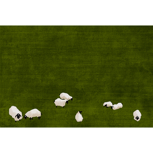 入户门地垫进门口门垫2025新款家用地毯丝圈脚垫耐脏防滑脚踏垫子