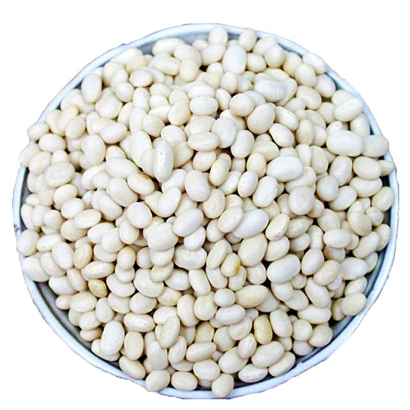 小白豆白芸豆杂粮干货白云豆白饭豆新货贵州豆米白豆子农家白豆粒