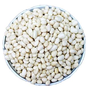 小白豆白芸豆杂粮干货白云豆白饭豆新货贵州豆米白豆子农家白豆粒