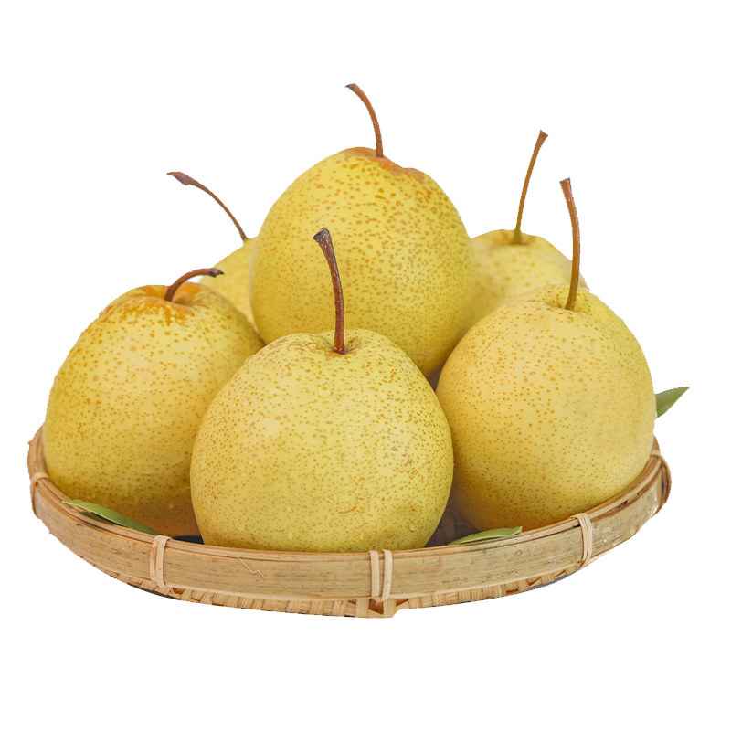 【烤梨专用】正宗冰糖雪梨当季水果带箱5斤