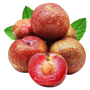 (京东包邮)澳洲进口李子新鲜凤凰李当季孕妇水果血丝玫瑰红心李