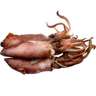 舟山特产野生小鱿鱼仔海兔干笔管鱼乌贼干海兔干枪乌贼乌蛸干500g