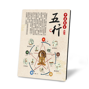 九大体质节气顺时养生人体五行图中医养生馆美容院桌面装饰画摆台