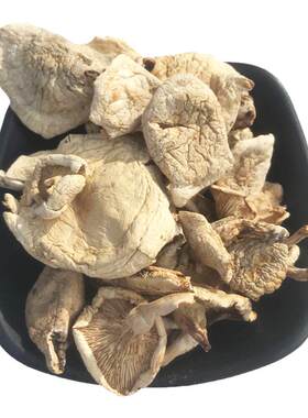 野生承德特产小白蘑菇