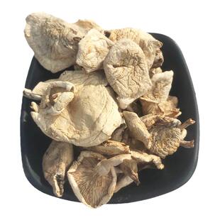 野生白蘑菇干新货承德围场小白蘑菇菌坝上塞罕坝特产250g包邮