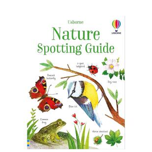 【现货】自然观察指南英文儿童绘本知识百科进口原版书平装【Lots of】Nature Spotting Guide Kirsteen Robson著Usborne childre