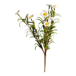 田园小雏菊仿真花洋甘菊餐桌假花摆设干花花束客厅装饰小野菊摆件