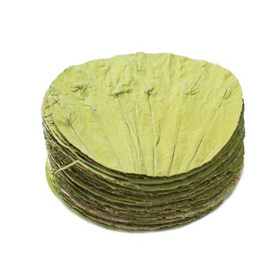 干荷叶片圆形切片裁剪成品荷叶蒸饭木桶饭笼仔饭竹筒饭糕点茶点垫