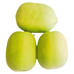 云南大理新鲜酸木瓜白木瓜2025年青木瓜泡酒做菜木瓜鸡酸辣鱼调料