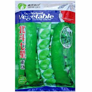 特大高产大蚕豆种子种籽农家豆种南方北斗七星本地日本孑菜籽大全