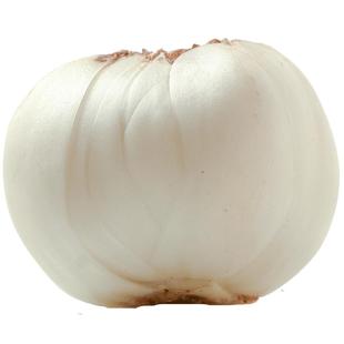 兰州百合新挖新鲜甜百合500g食用白合甘肃特产非干货特级生百合干