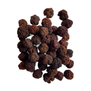 山乡药域 野生帝王果搭紫杉果泡水泡酒 帝王果品质保证源头批发